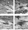 FIG. 9.