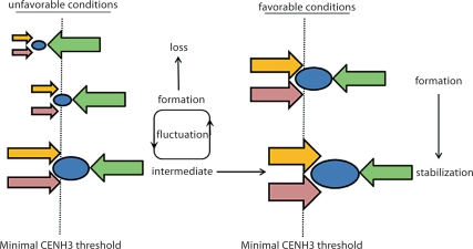 Fig. 7.