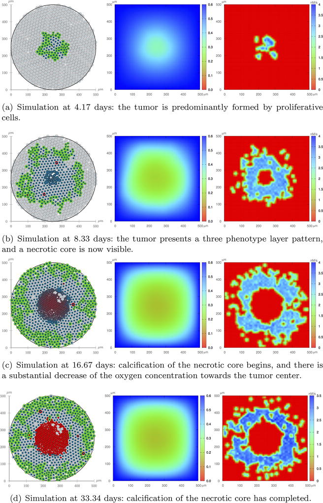 Fig. 12