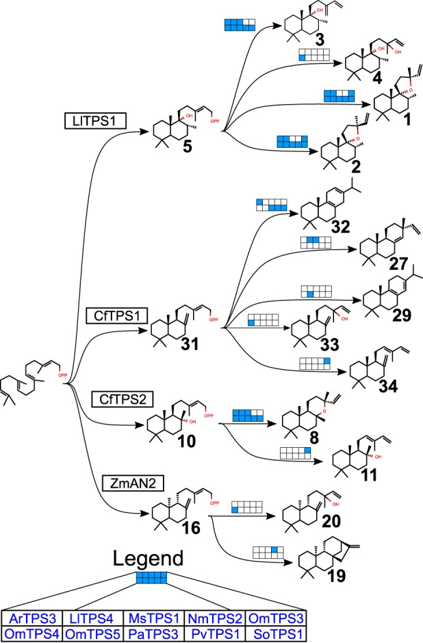 Figure 6.