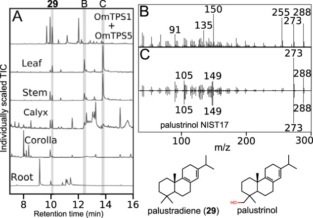 Figure 7.