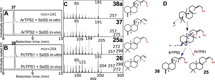 Figure 5.