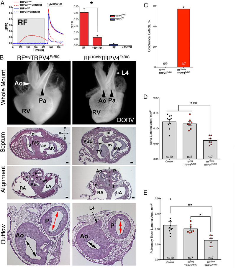 Fig. 8.