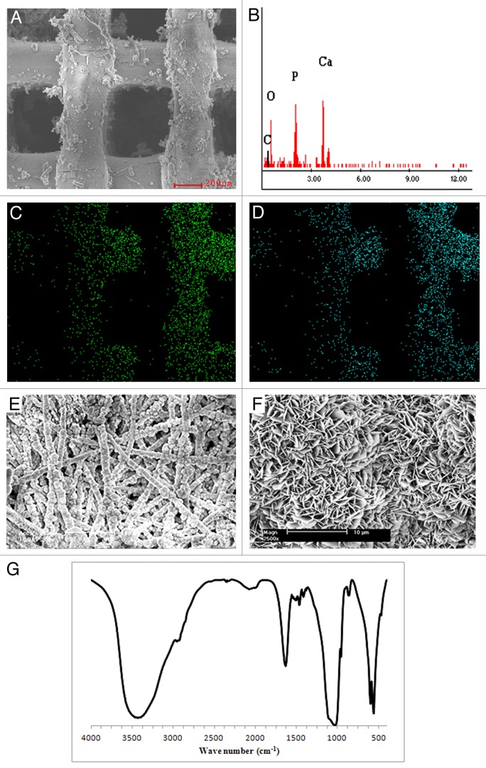 graphic file with name biom-3-e23705-g3.jpg