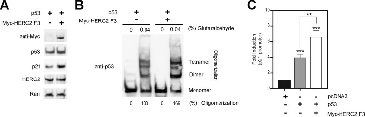 FIGURE 9.