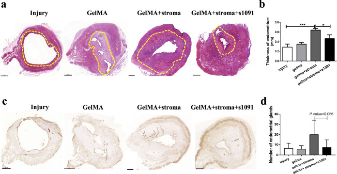 Fig. 5