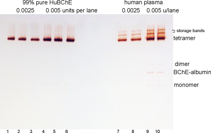 Fig 10