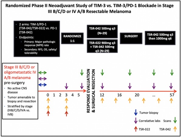 Fig. 1 (abstract P457).