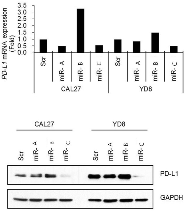 Fig. 1 (abstract P398).