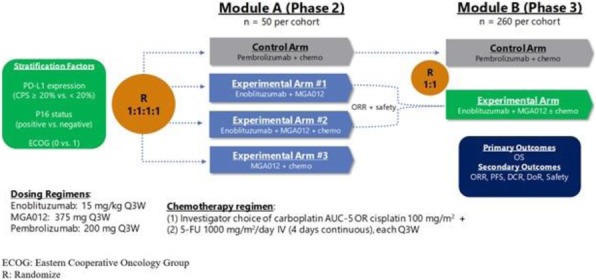 Fig. 1 (abstract P395).