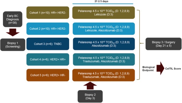 Fig. 1 (abstract P373).