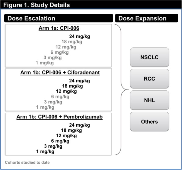 Fig. 1 (abstract P434).