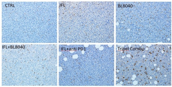 Fig. 2 (abstract P471).