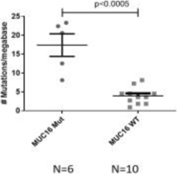 Fig. 1 (abstract P84).