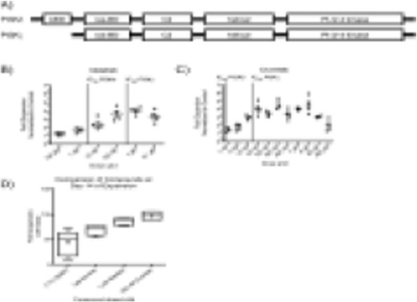 Fig. 1 (abstract P178).