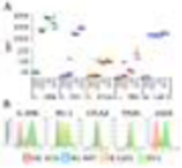 Fig. 1 (abstract P498).