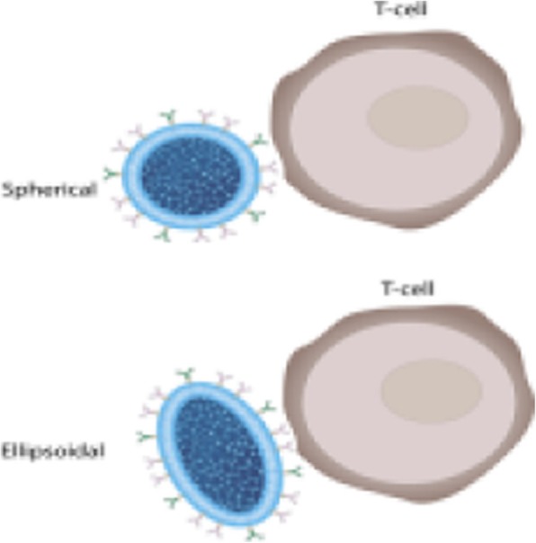 Fig. 1 (abstract P172).