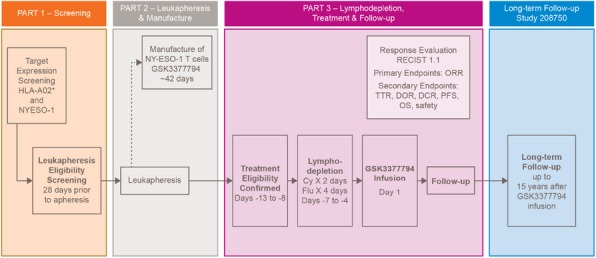 Fig. 1 (abstract P453).