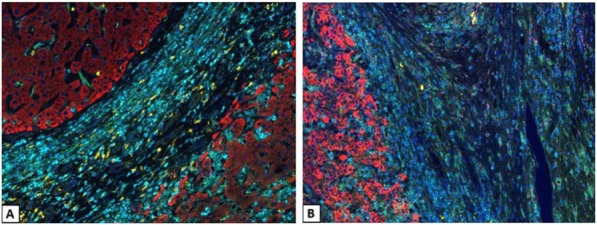 Fig. 1 (abstract P1).