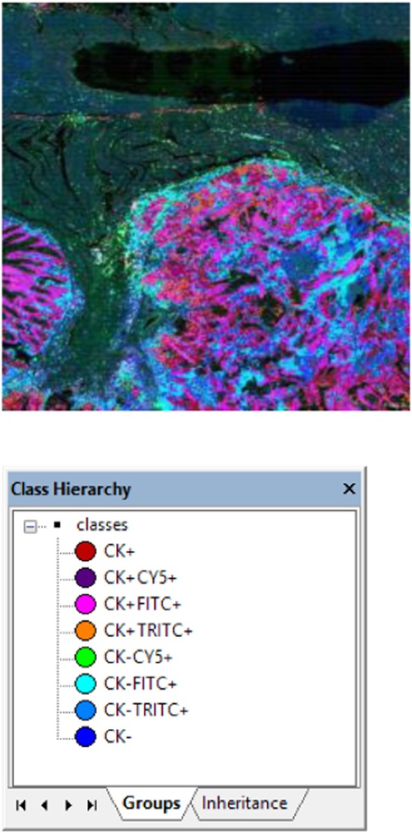 Fig. 1 (abstract P40).