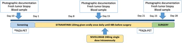 Fig. 1 (abstract P400).