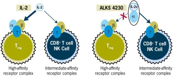 Fig. 2 (abstract P441).