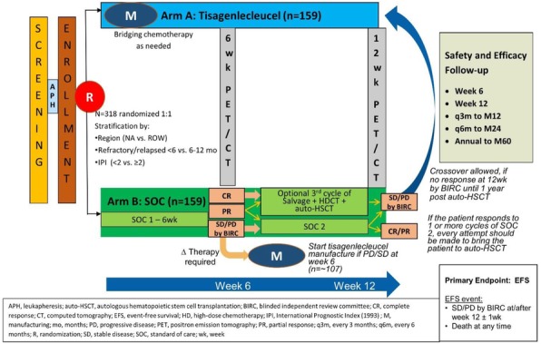 Fig. 1 (abstract P402).