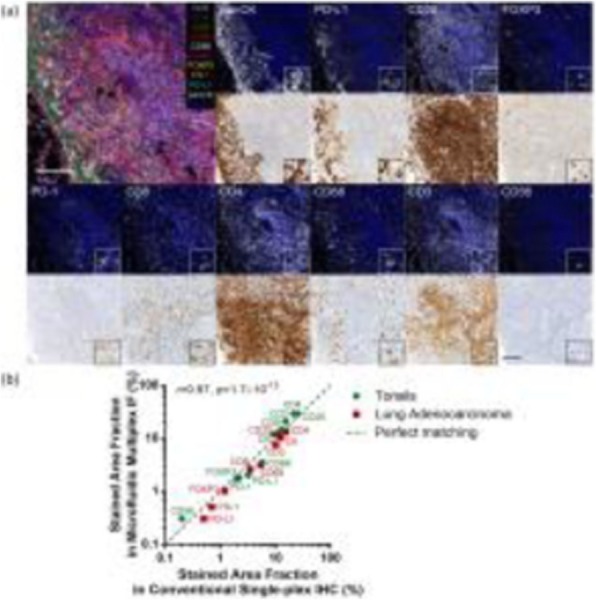 Fig. 1 (abstract P50).