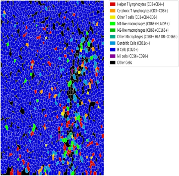 Fig. 1 (abstract P61).