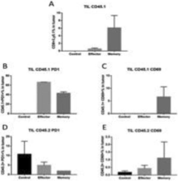 Fig. 2 (abstract P153).