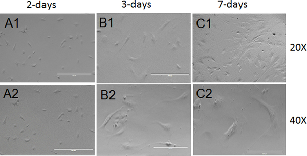 Figure 1: