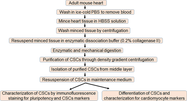 Figure 5: