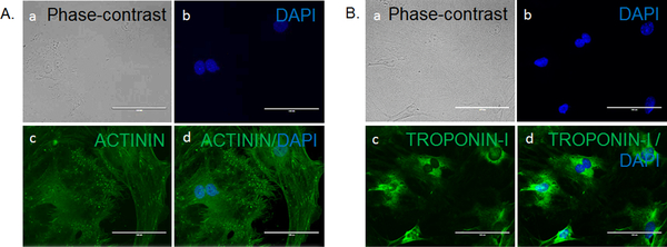 Figure 4: