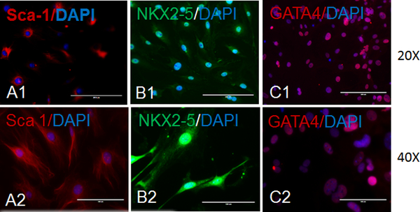 Figure 3: