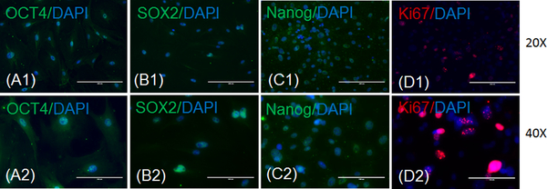 Figure 2: