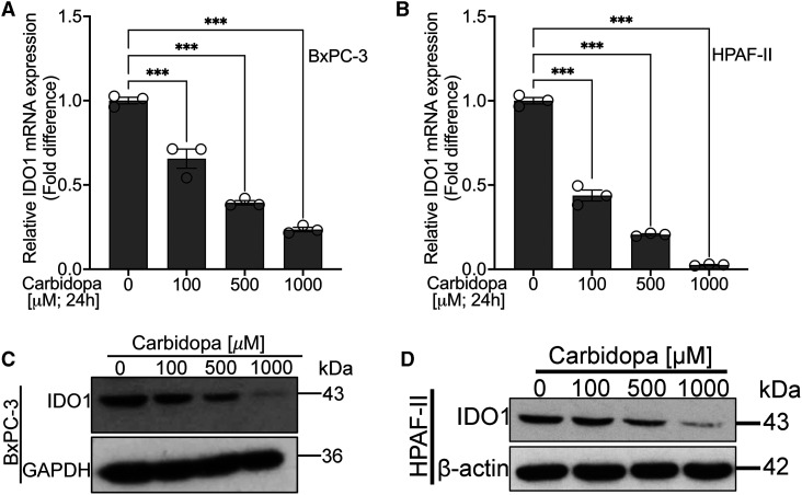 Figure 2.