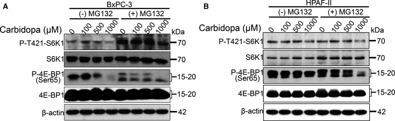 Figure 7.