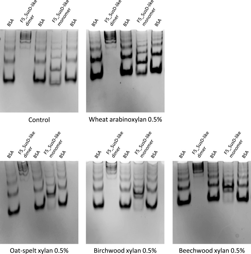 FIG 1