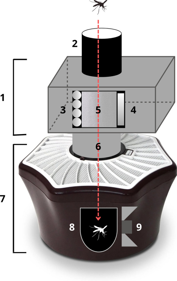 Fig. 1