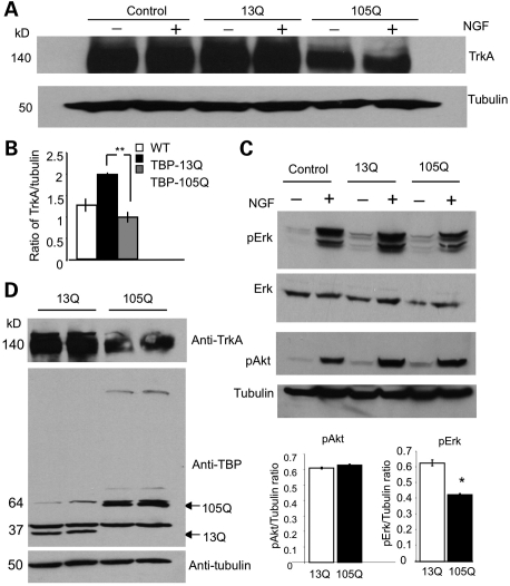 Figure 3.