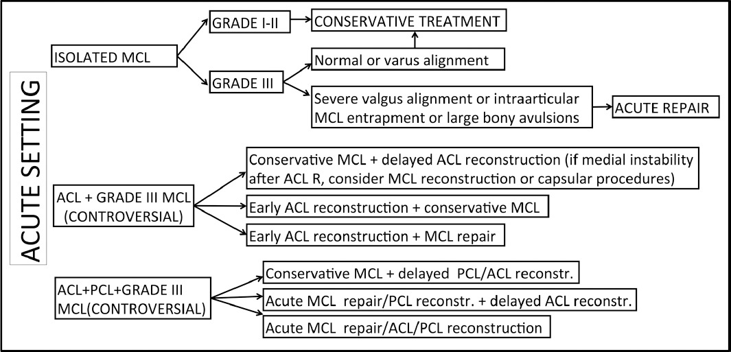 graphic file with name ioj-173-183_fig14.jpg