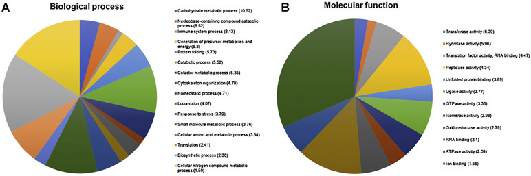 Figure 3 -