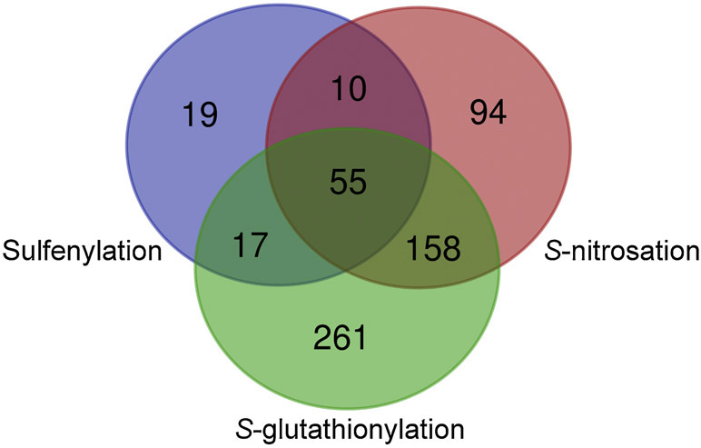 Figure 4 -