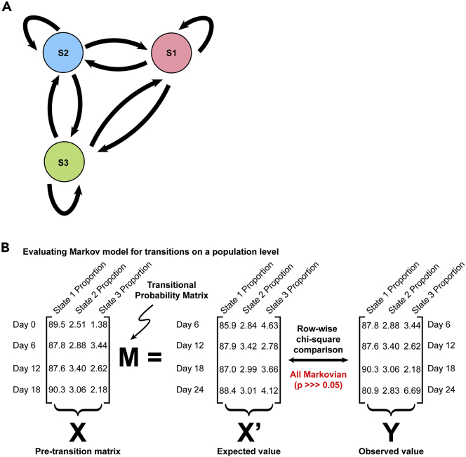 Figure 2