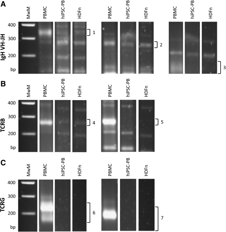 FIG. 2.