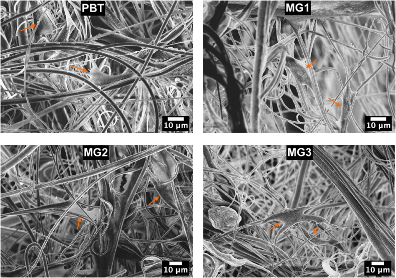 Fig. 10