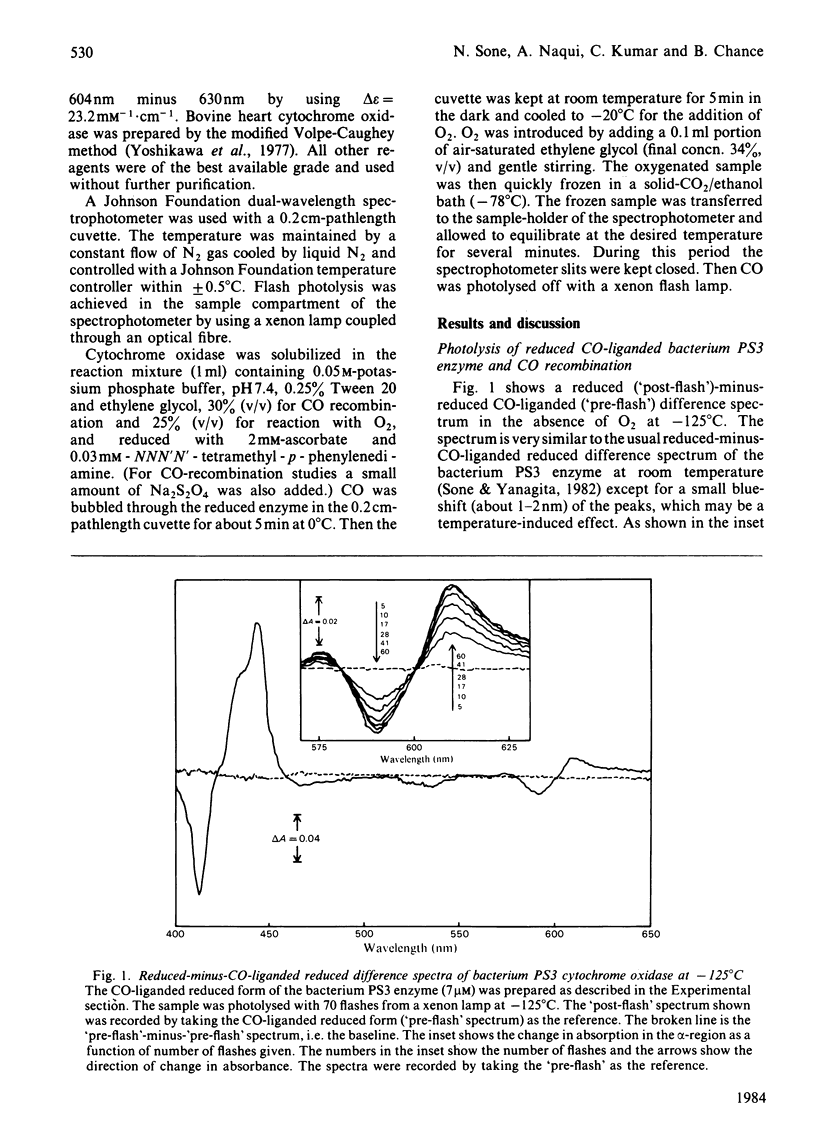 Reaction of caa3 type terminal cytochrome oxidase from the thermophilic
