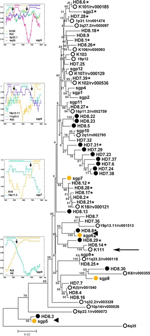 Fig 6