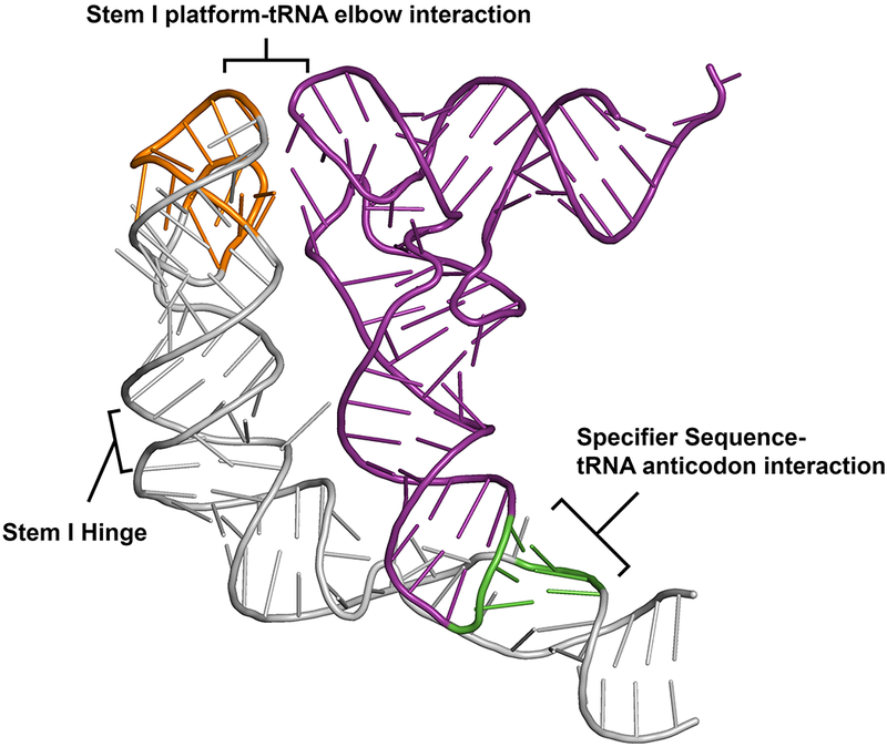 Figure 3.