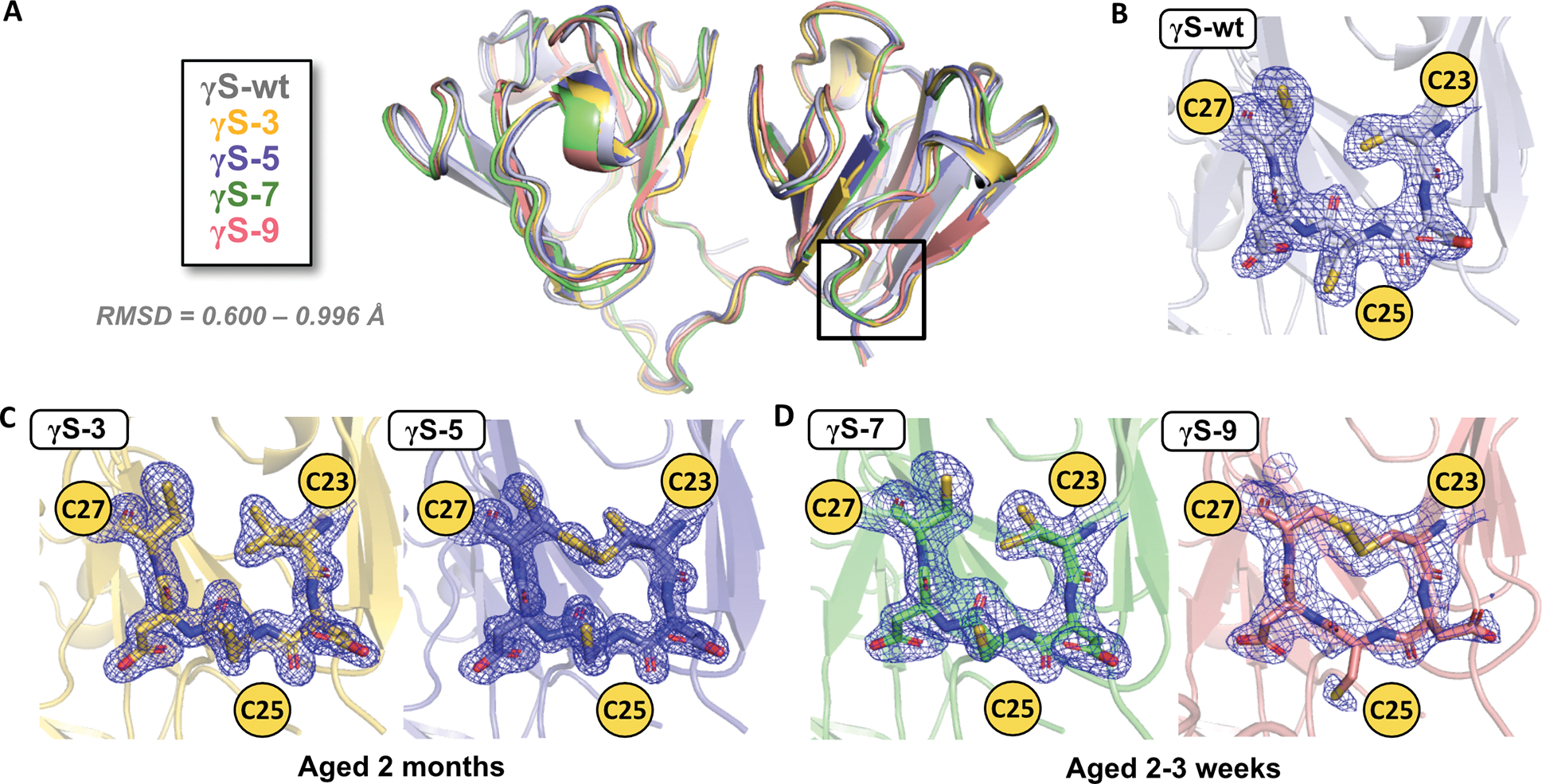 Figure 4,